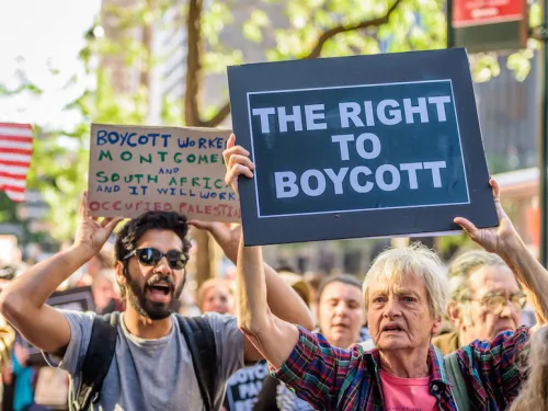 BDS.jpg
