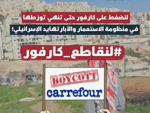 Boycott carrefour (Instagram Post (Square)) (3).jpg