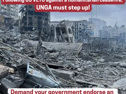 Following US VETO UNGA must act (Instagram Post) (1).jpg