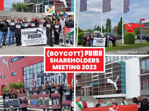 PUMA AGM collage sq.jpg