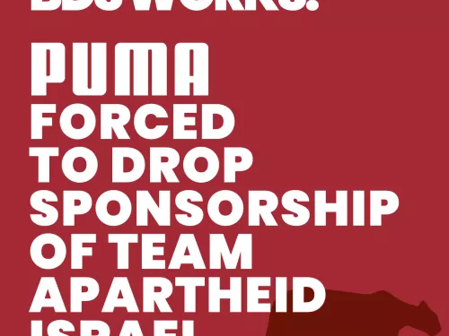 PUMA WIN.jpg
