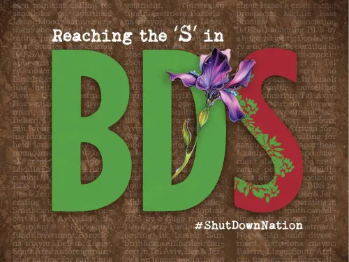 Reach the S in BDS - Donate - Instagram 320x320pxl.jpg