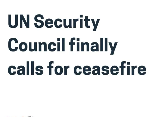 UNSC Tweetment IG.jpg