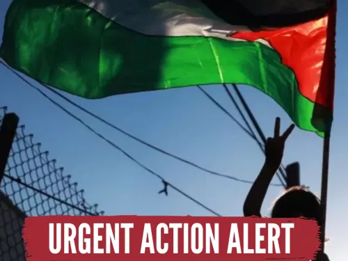 URGENT ACTION (Instagram Post).jpg
