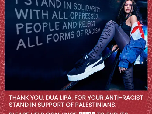 dualipa.jpg
