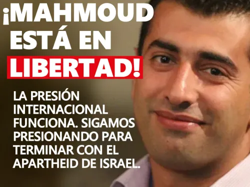 mahmoud-is-free-sq-es.jpg