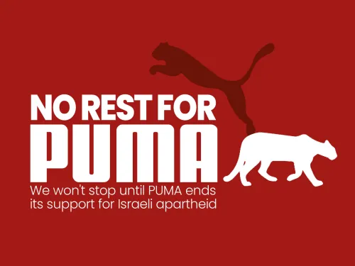 no rest for puma sq.jpg