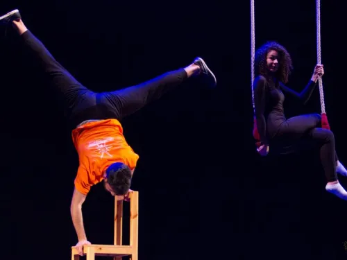 Palestinian Performing Arts Network (PPAN)