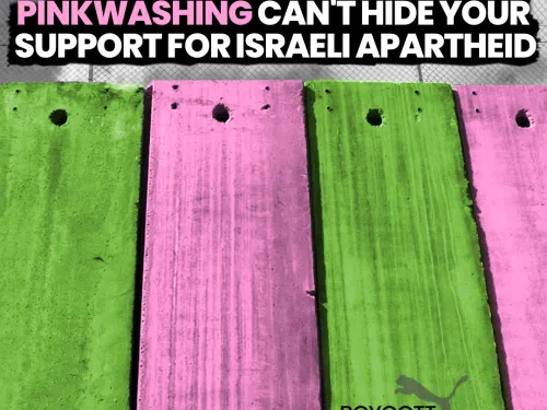 puma greenwashing pinkwashing-sq.jpg