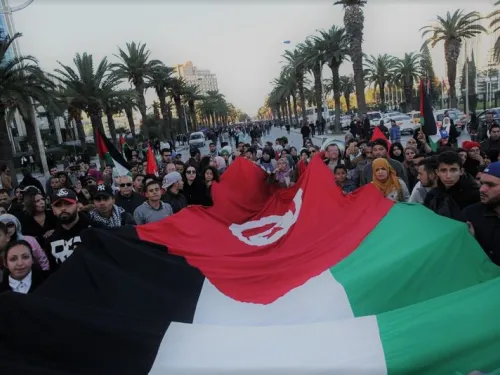 tunis pali.jpg