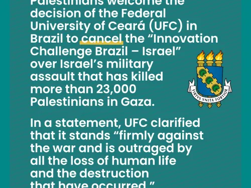 ufc 1.jpg