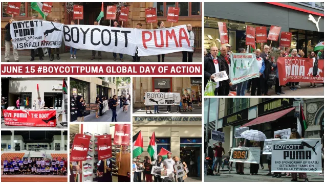 puma day-collage.jpg