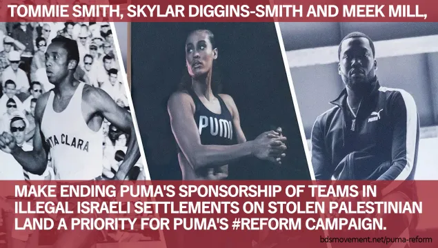 puma-teamreform.jpg