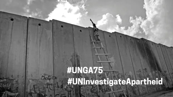 #UNGA75 wall2.png