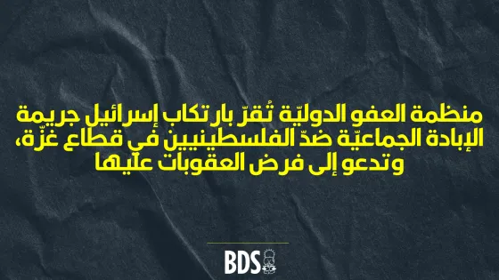Amnesty AR