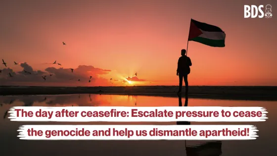 Ceasfire 