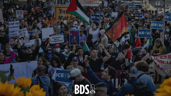  Palestinians Stand in Solidarity with Anti-ICE Protestors