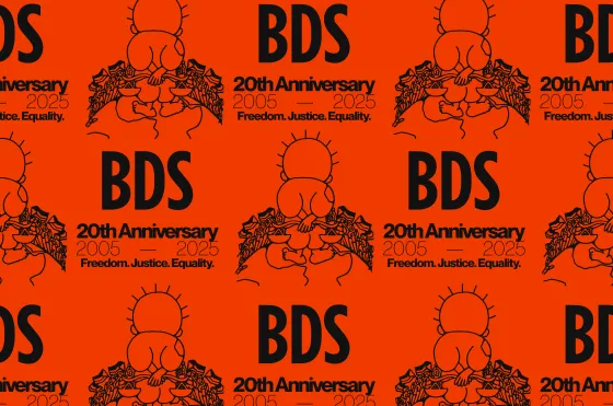 BDS_20_banner
