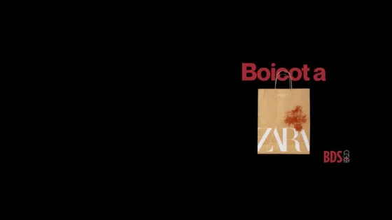 Boicot a Zara