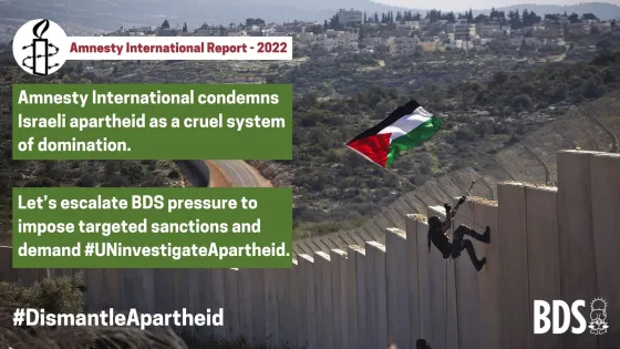 Amnesty Graphics .jpg