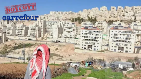 Boycott Carrefour.jpg
