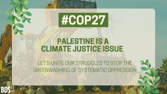 COP 27 .jpg