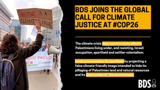 COP26 .jpg