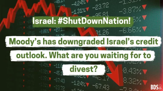 Copy of Israel #ShutDownNation!.jpg