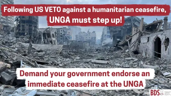 Following US VETO UNGA must act (3).jpg