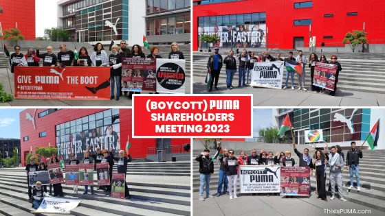 PUMA AGM collage.jpg
