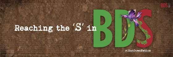 Reach the S in BDS - Donate - Twitter 1500x500pxl.jpg