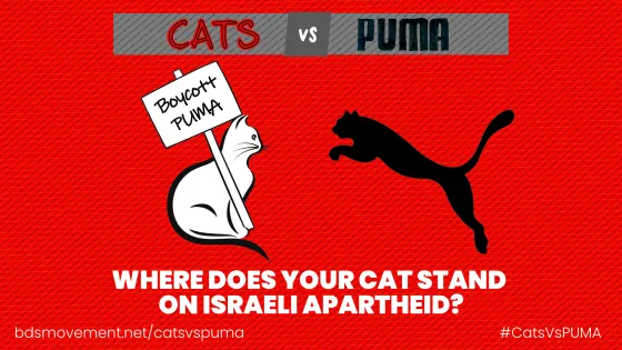 catsvspuma.jpg
