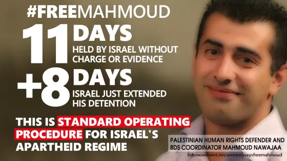 free-mahmoud-11.jpg