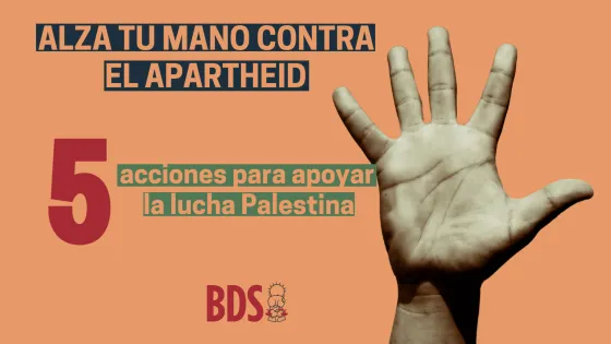 in our hands-es.jpg