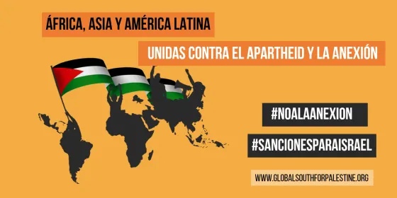 lanzamiento página web.png
