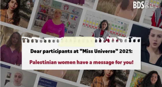 miss universe banner 3.jpg