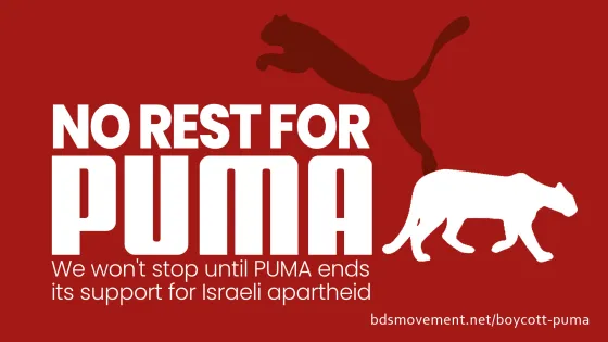 no rest for puma.jpg