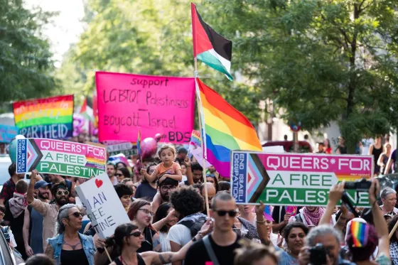 pinkwashing.jpg