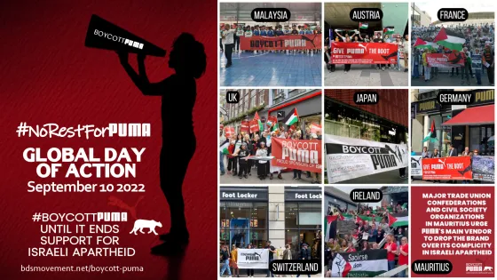 puma day collage.jpg