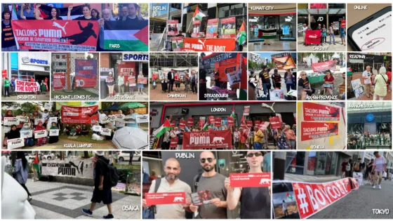puma day june 24 2023 collage.jpg