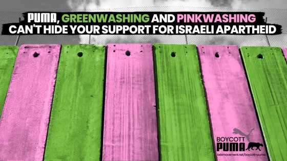 puma greenwashing pinkwashing.jpg