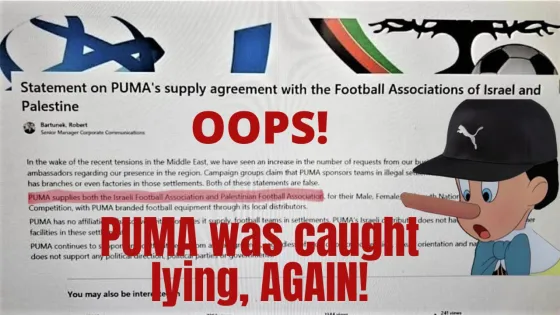 puma lying.jpg