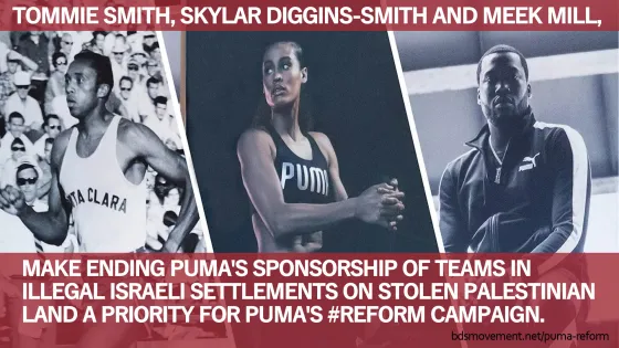 Tell Puma: #Reform must include ending support for Israel’s illegal land grabs