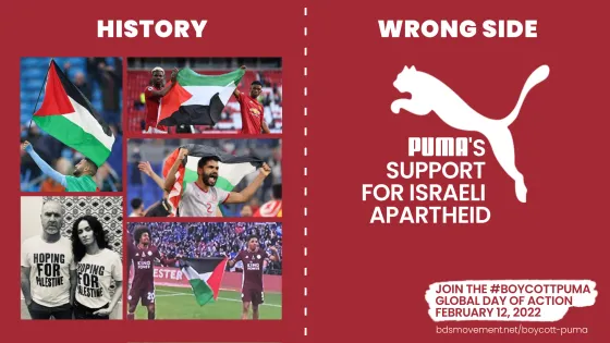 puma-wrong side of history.jpg